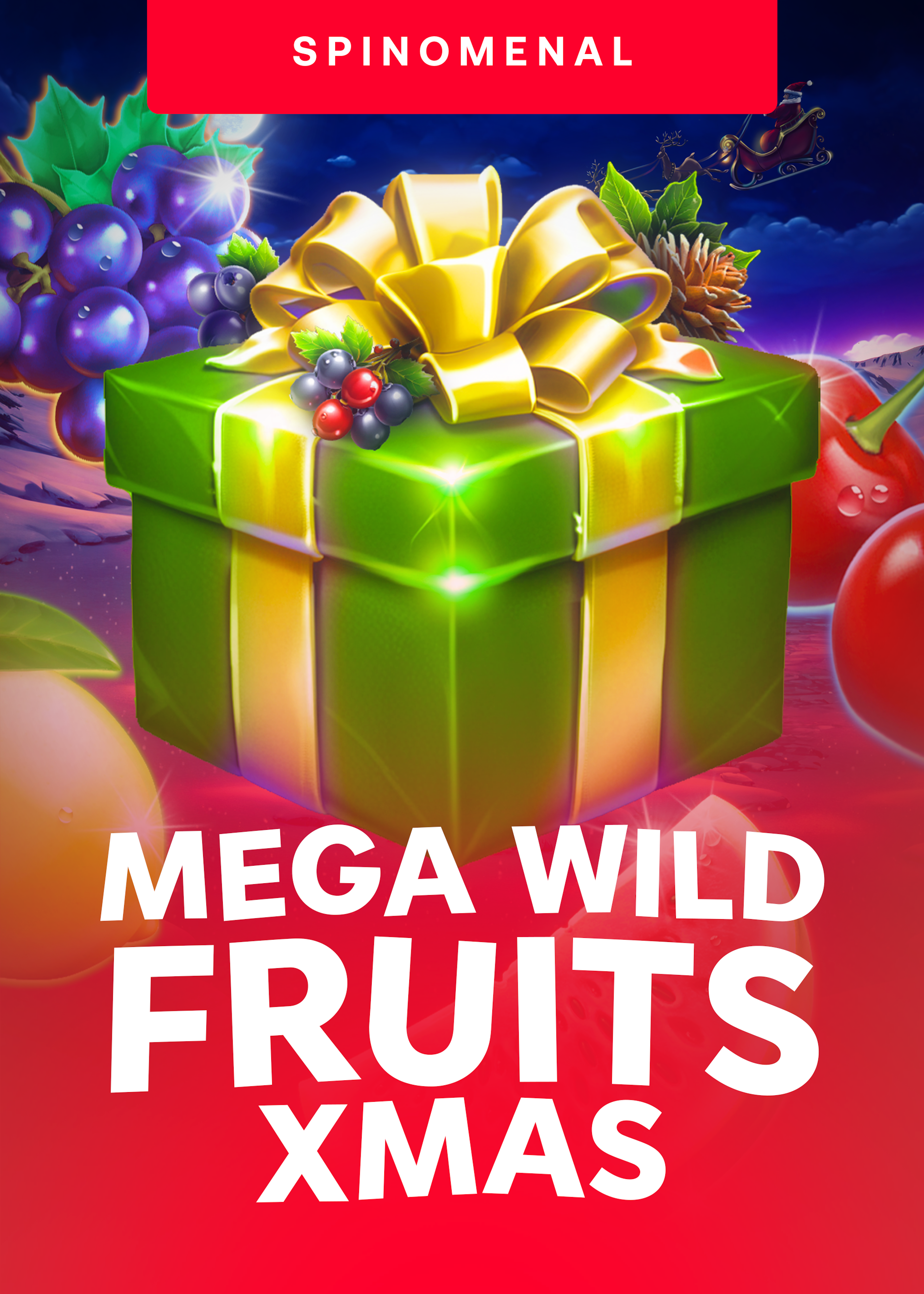 Mega Wild Fruits - Xmas