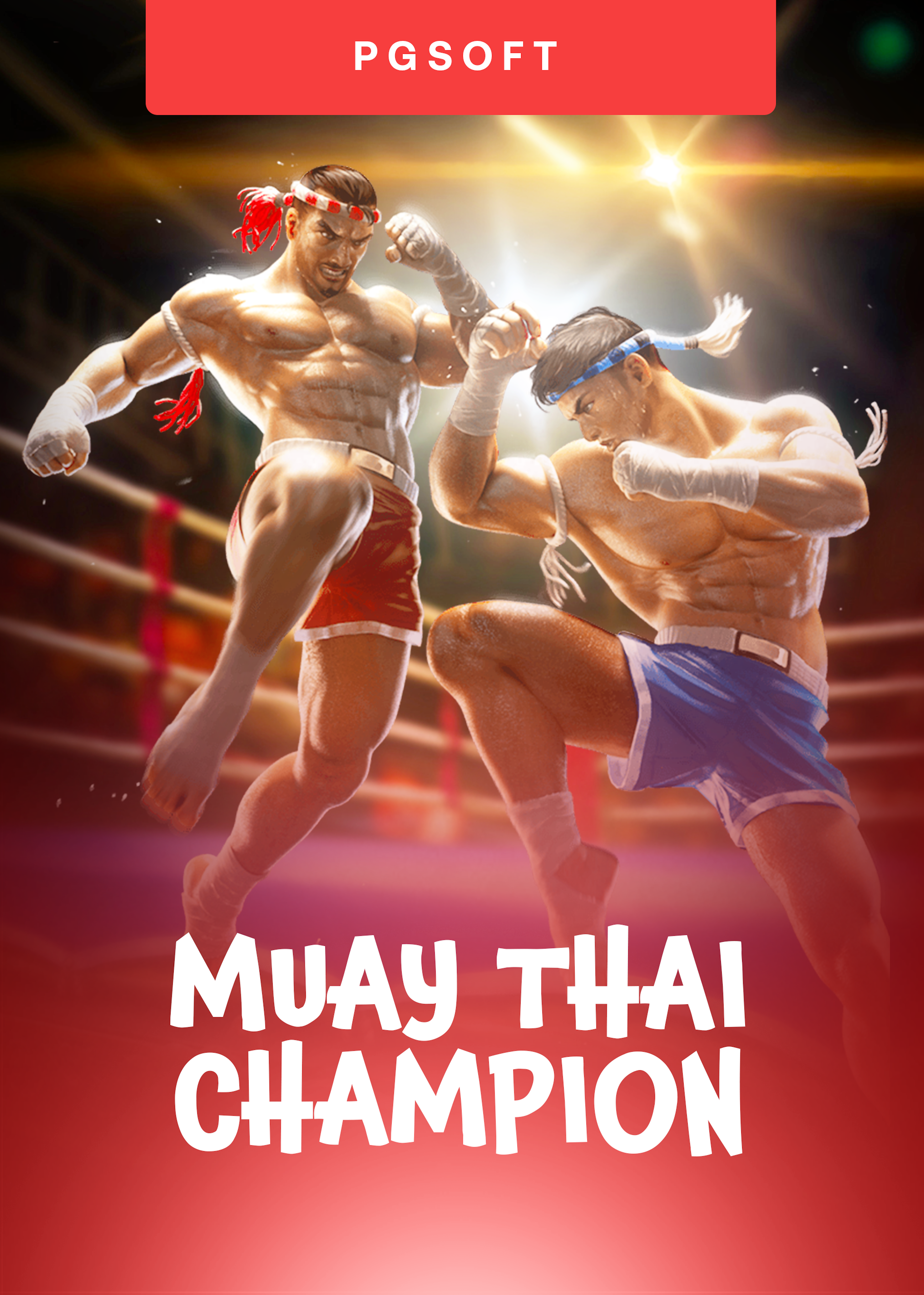 Muay Thai Champion