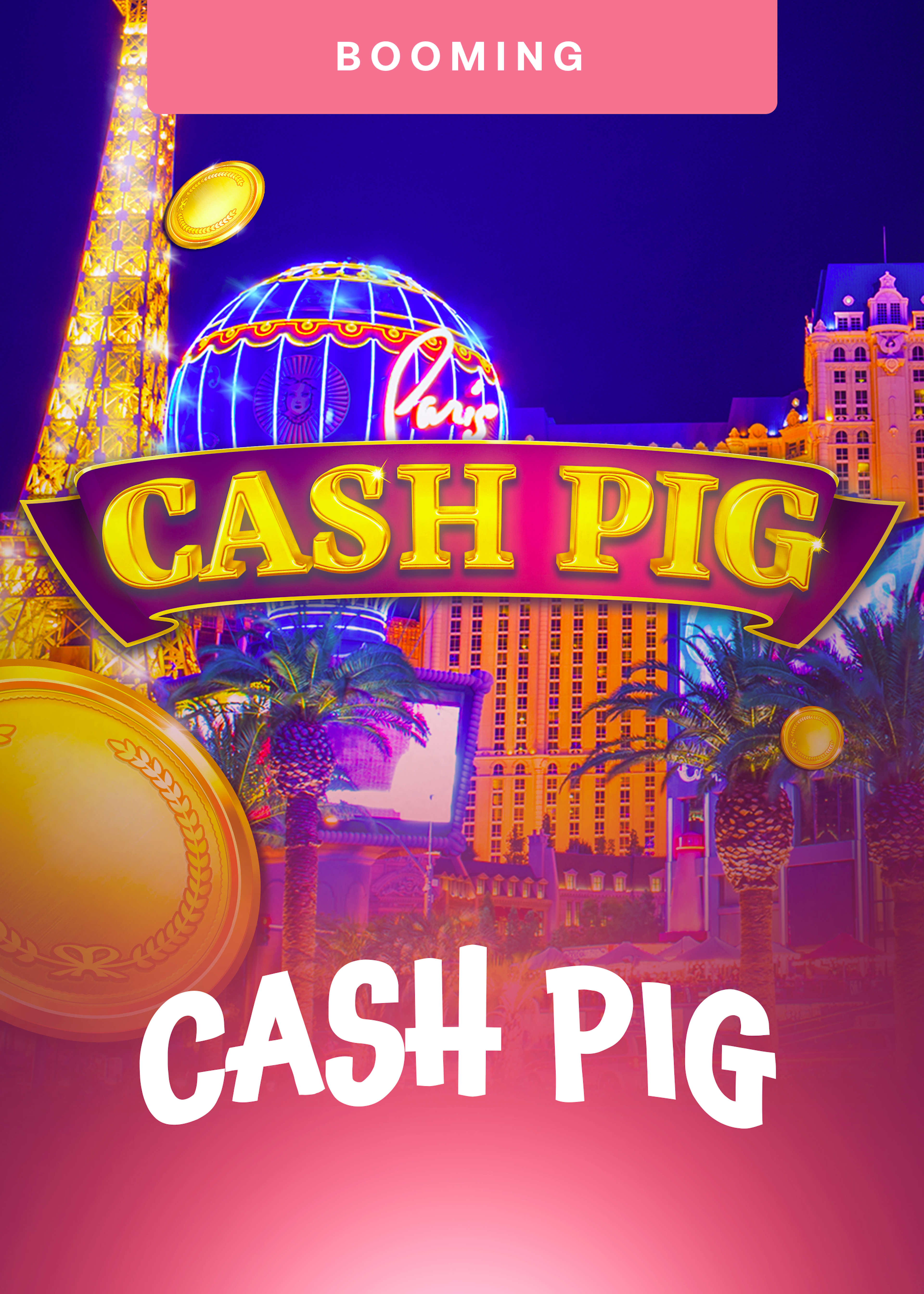 Cash Pig