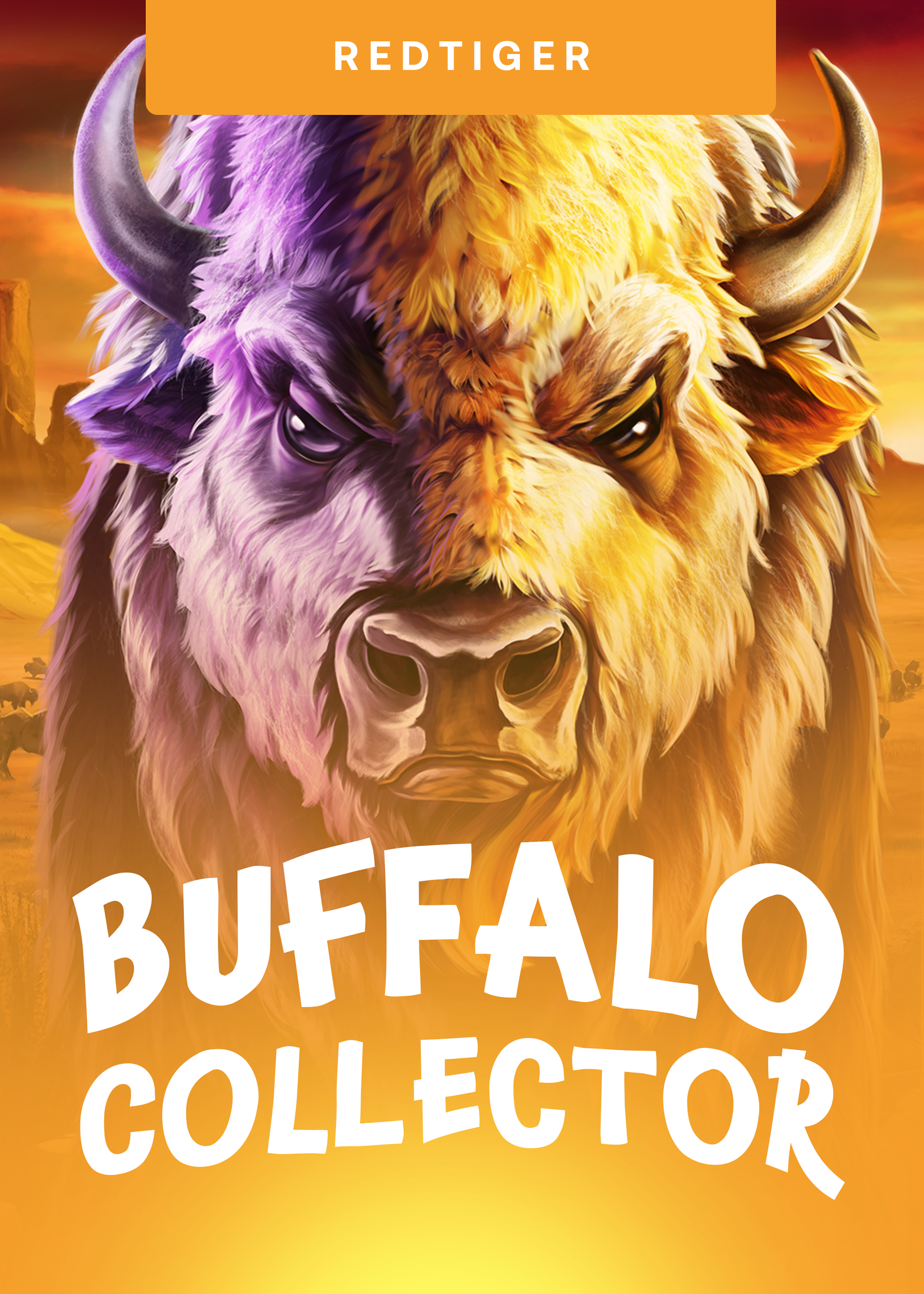 Buffalo Collector