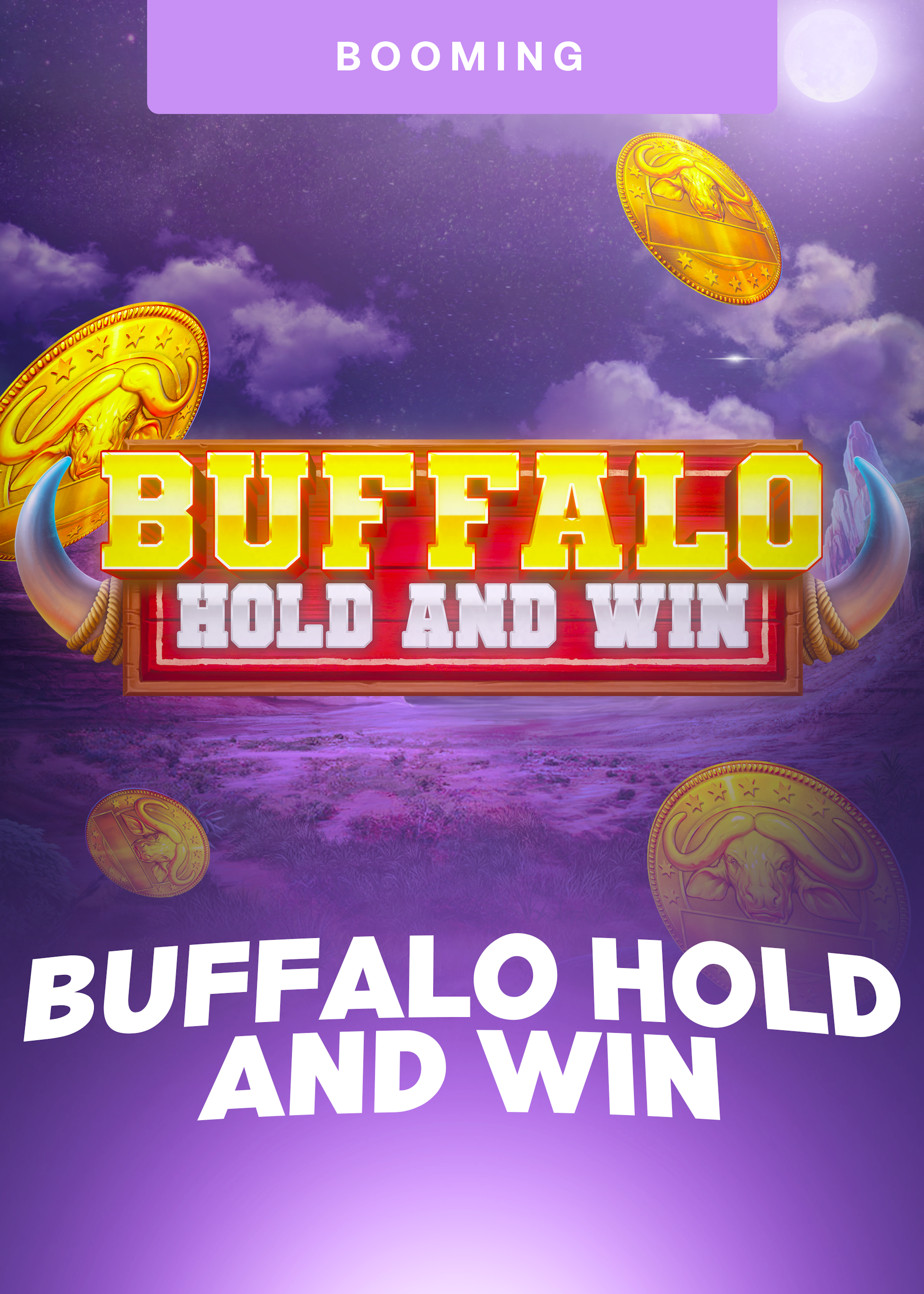 Buffalo Hold and Win