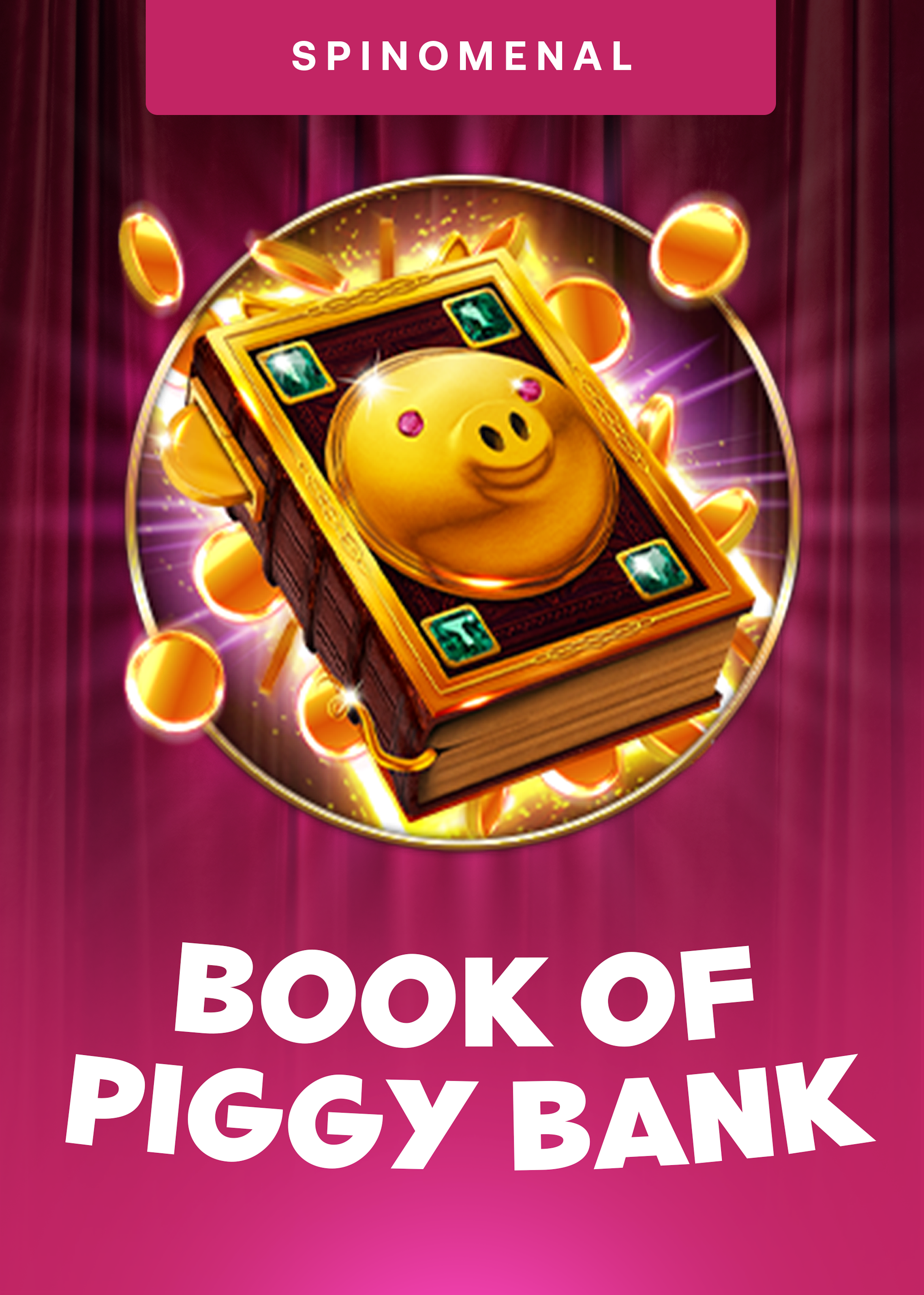 Book Of Piggy Bank