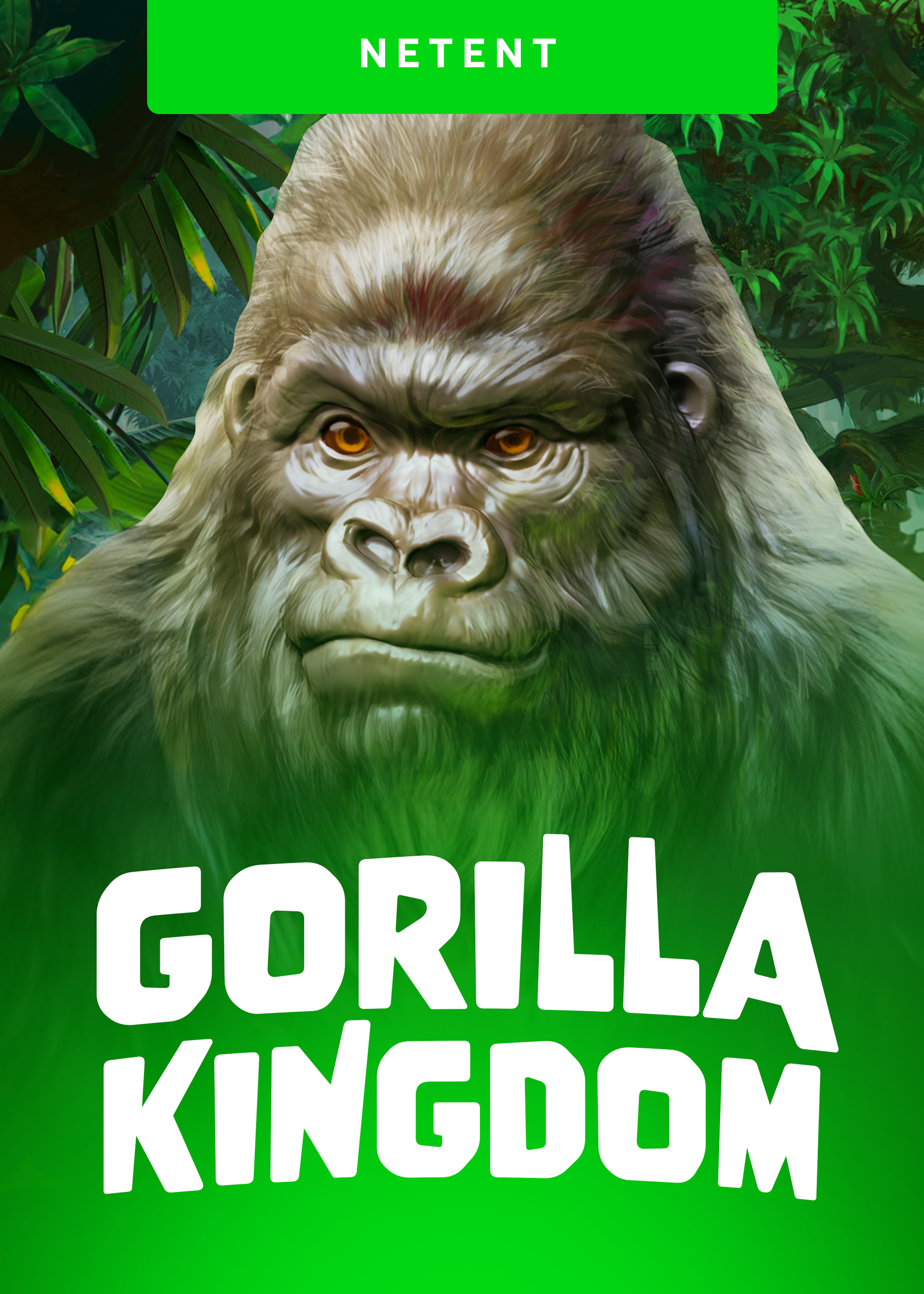 Gorilla Kingdom