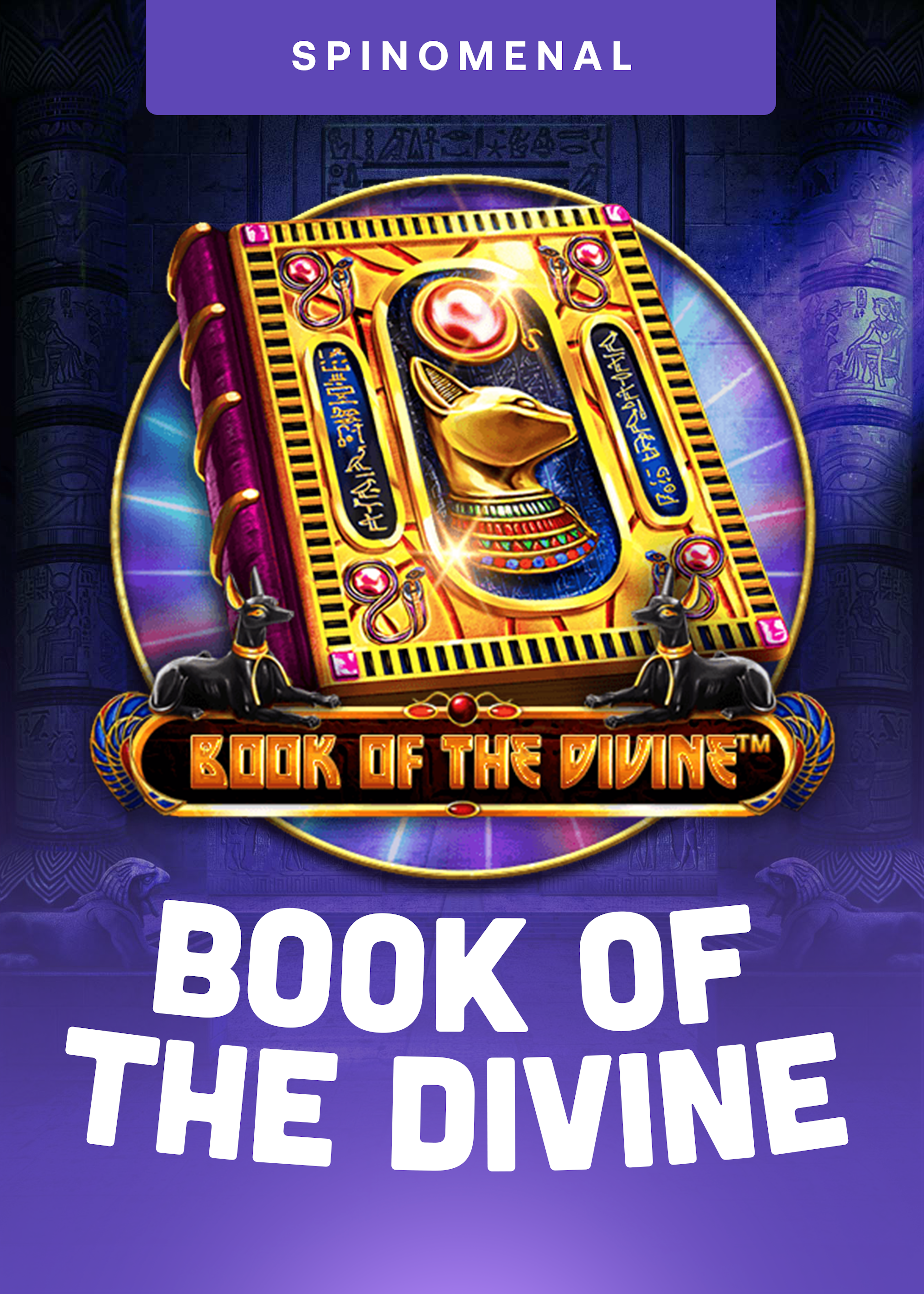 Book Of The Divine