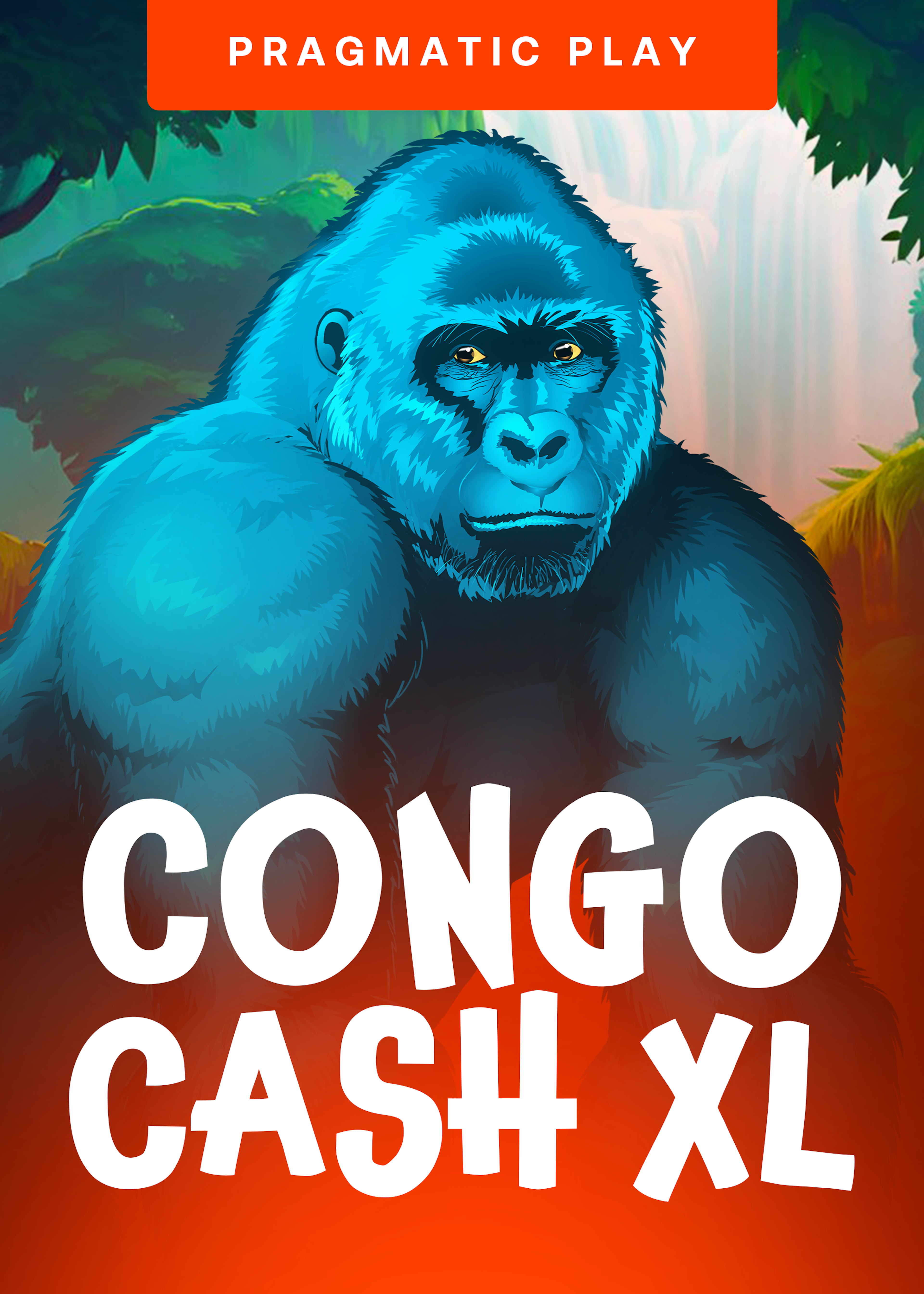 Congo Cash XL