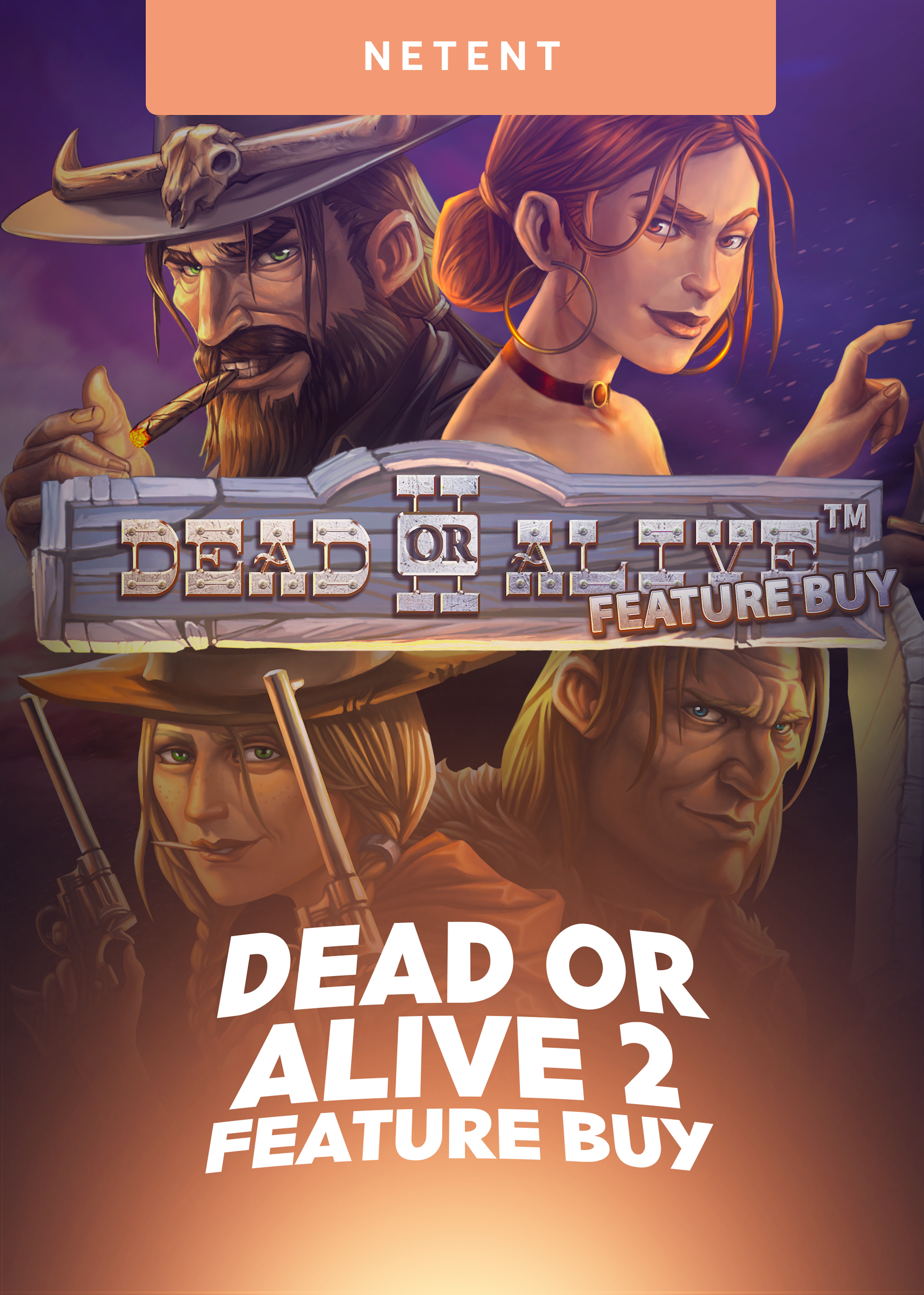 Dead or Alive 2 Feature Buy