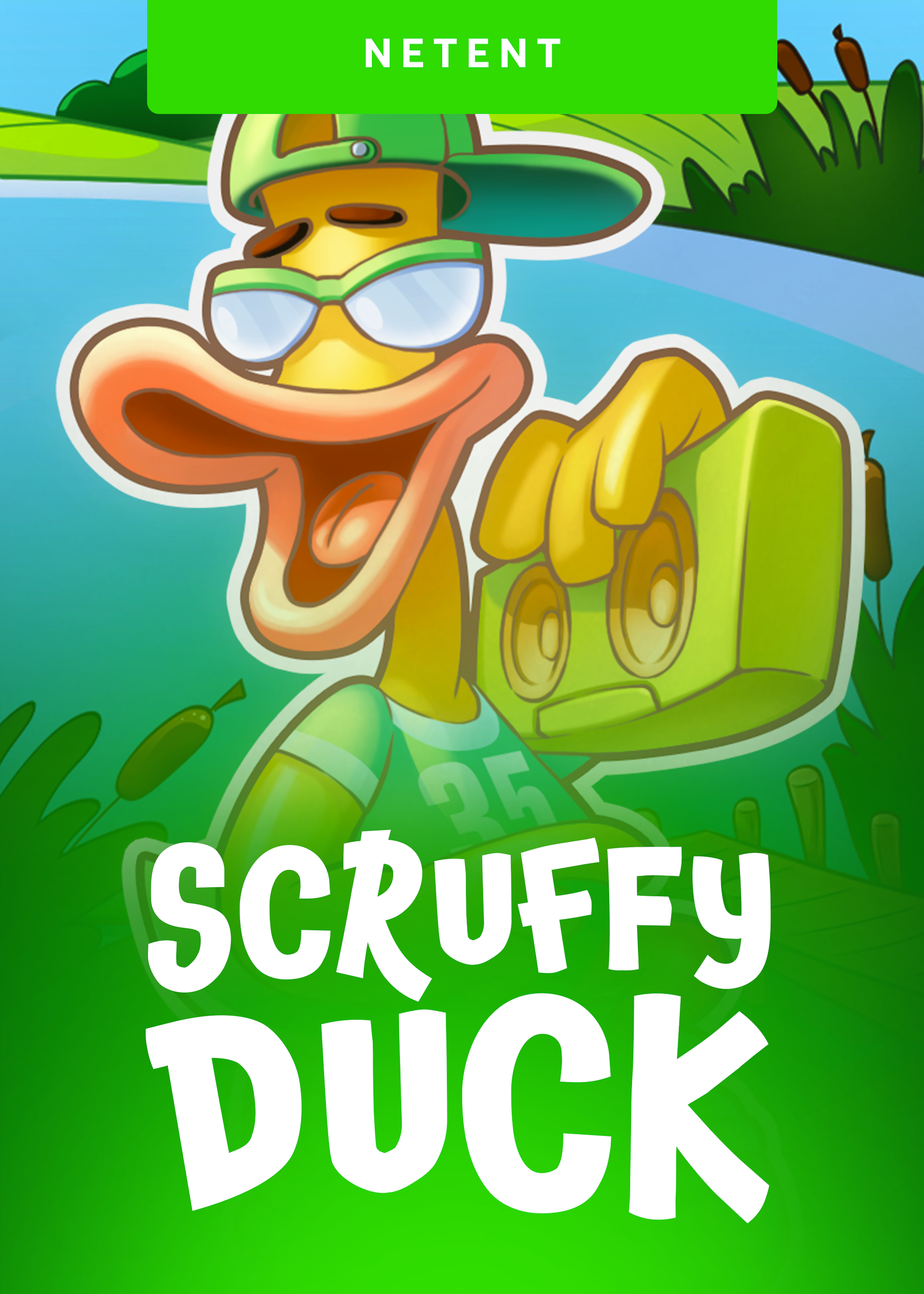 Scruffy Duck