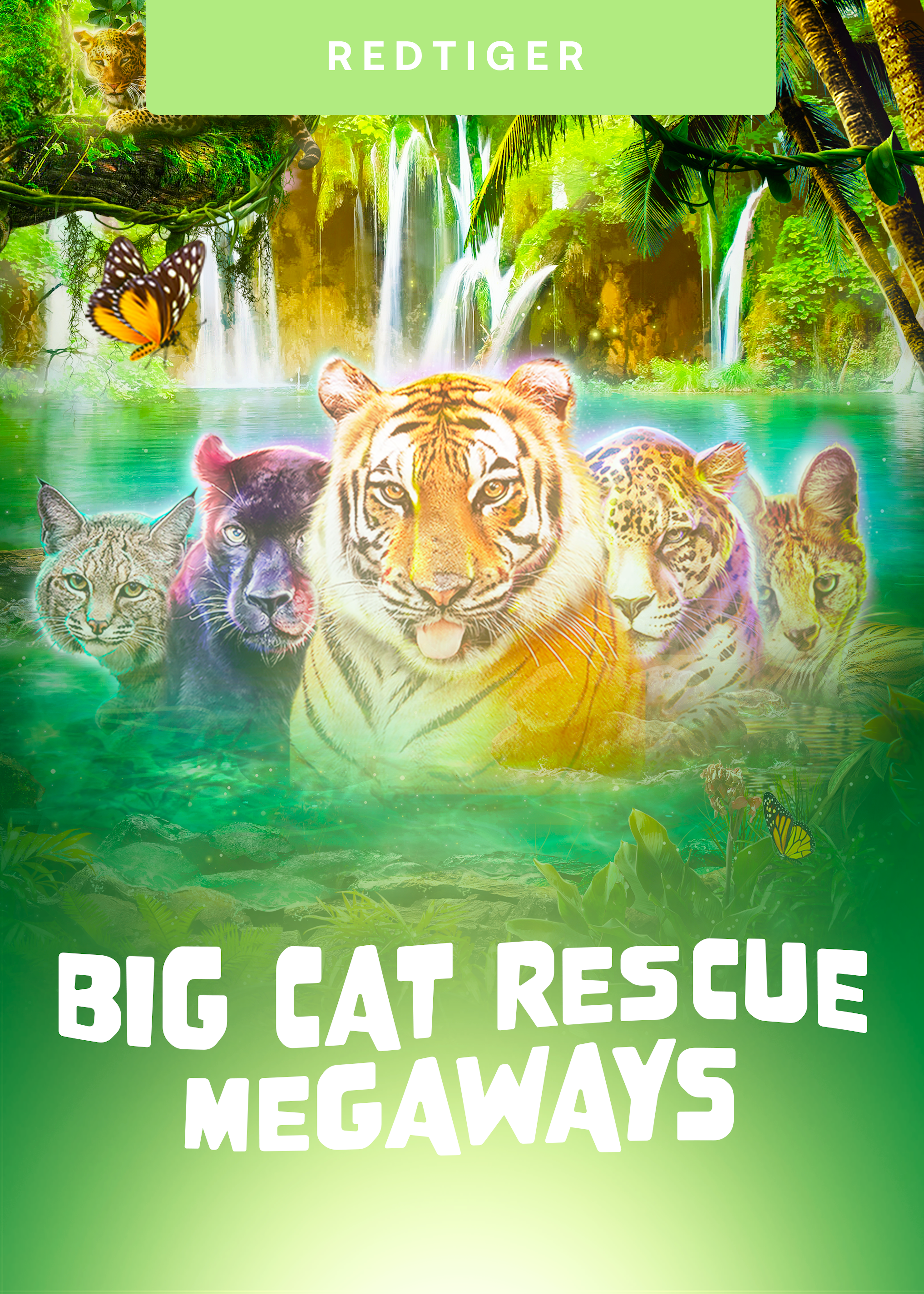 Big Cat Rescue MegaWays