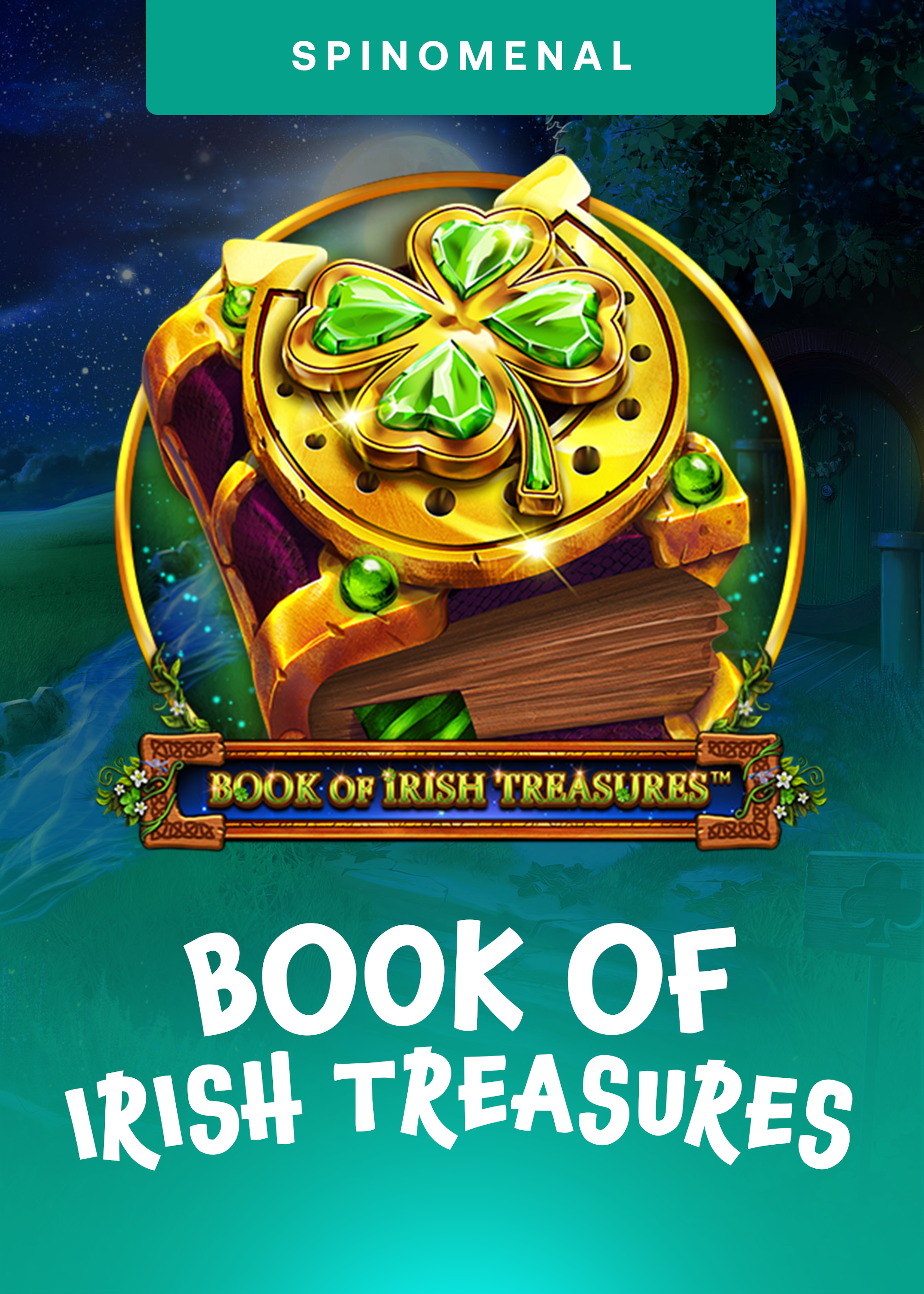 Book Of Irish Treasures