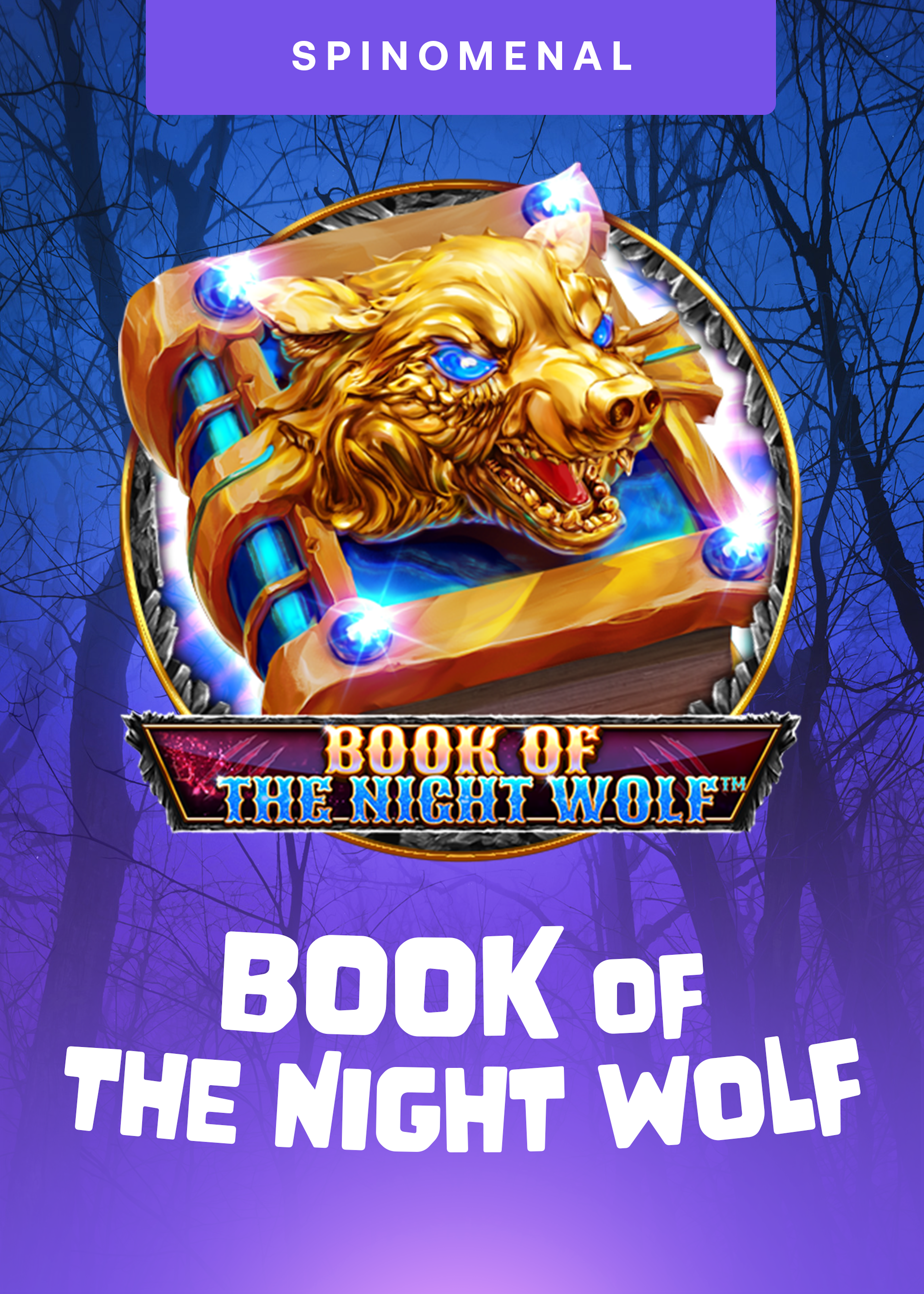 Book of The Night Wolf