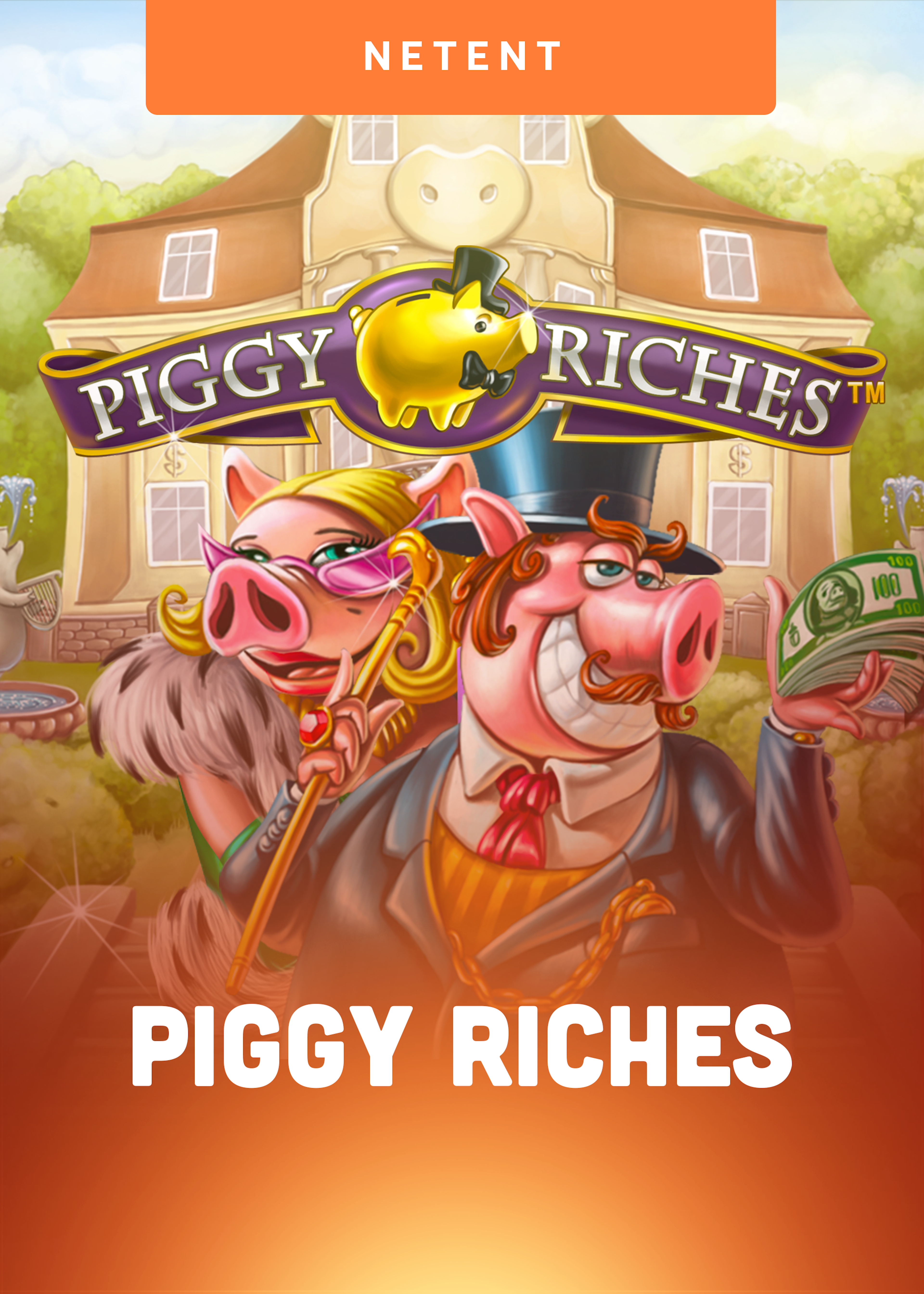 Piggy Riches